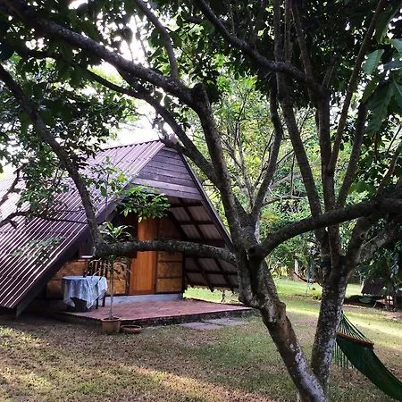 Yang Tone Farm Stay Chiang Dao Room photo