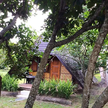 Yang Tone Farm Stay Chiang Dao Room photo