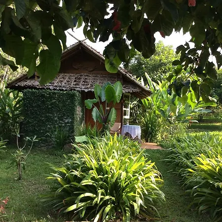 Yang Tone Farm Stay Chiang Dao Room photo