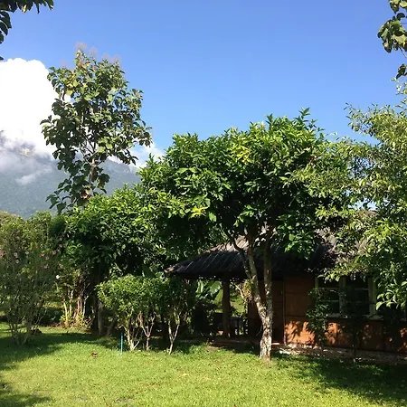 Yang Tone Farm Stay Chiang Dao Room photo