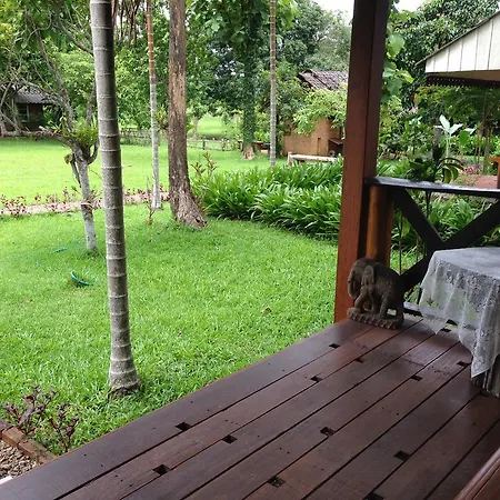 Yang Tone Farm Stay Chiang Dao Room photo