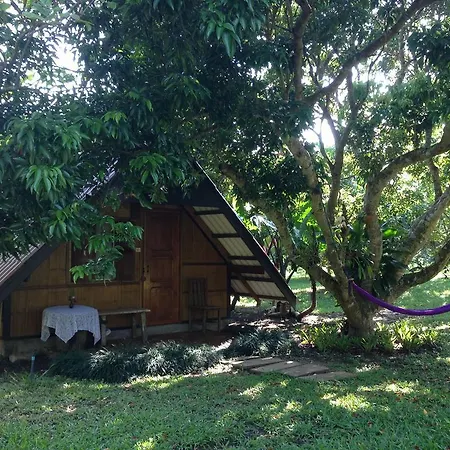 Yang Tone Farm Stay Chiang Dao Room photo