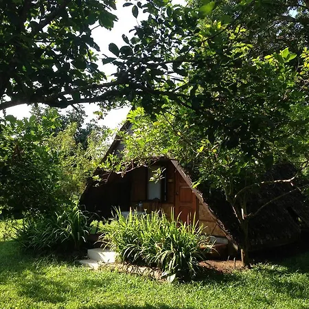 Yang Tone Farm Stay Chiang Dao Room photo