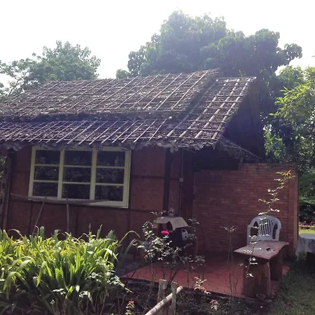 Yang Tone Farm Stay Chiang Dao Exterior photo