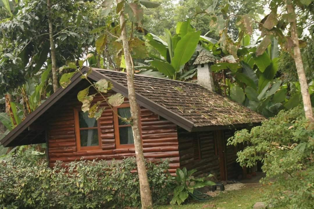 Yang Tone Farm Farm stay