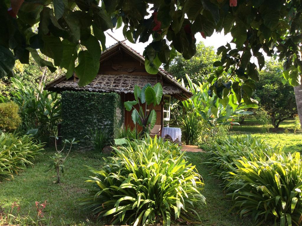 Farm stay Yang Tone Farm