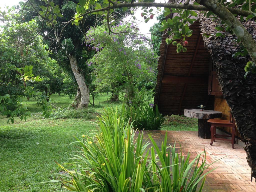Yang Tone Farm * Chiang Dao
