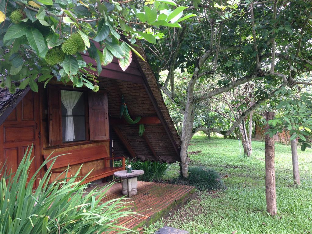 Yang Tone Farm Chiang Dao