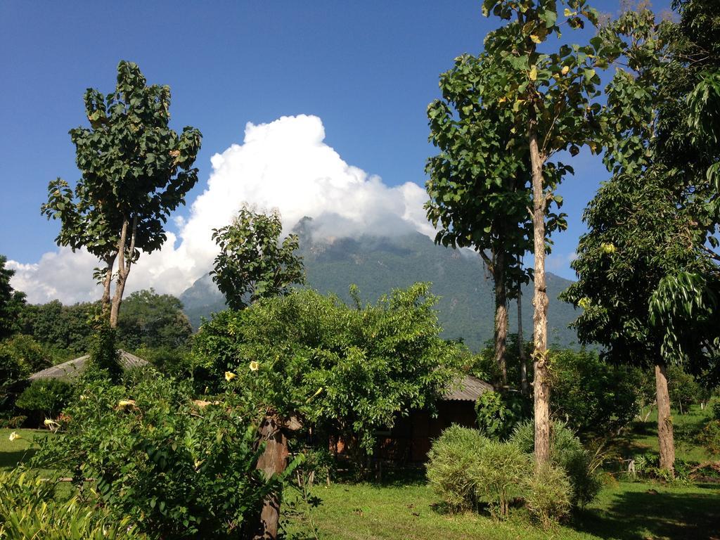 Yang Tone Farm Farm stay *