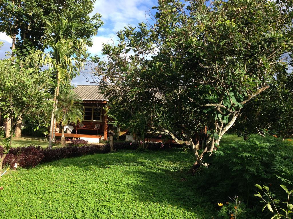 Yang Tone Farm Chiang Dao