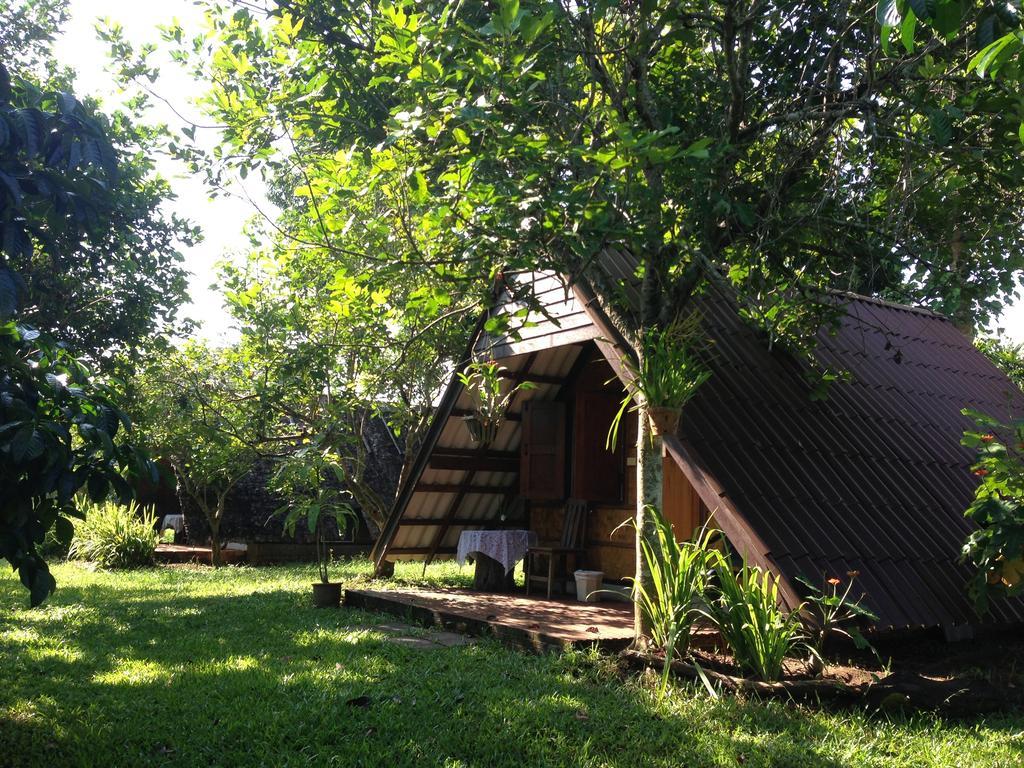 Farm stay Yang Tone Farm *