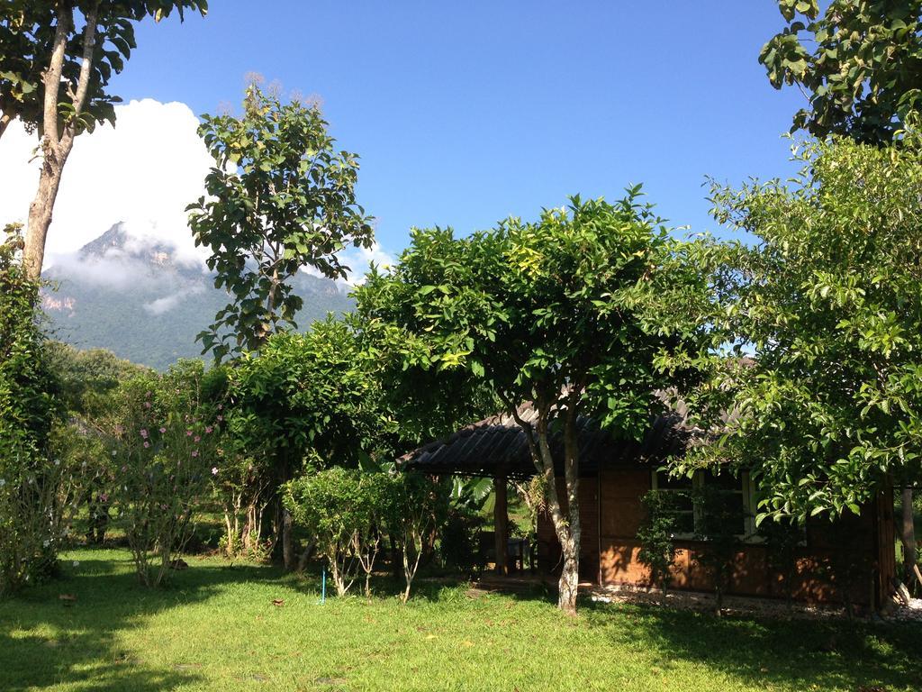 Farm stay Yang Tone Farm