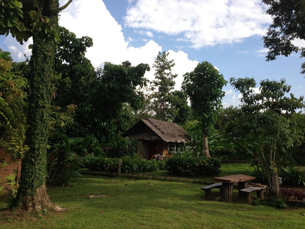 Yang Tone Farm *